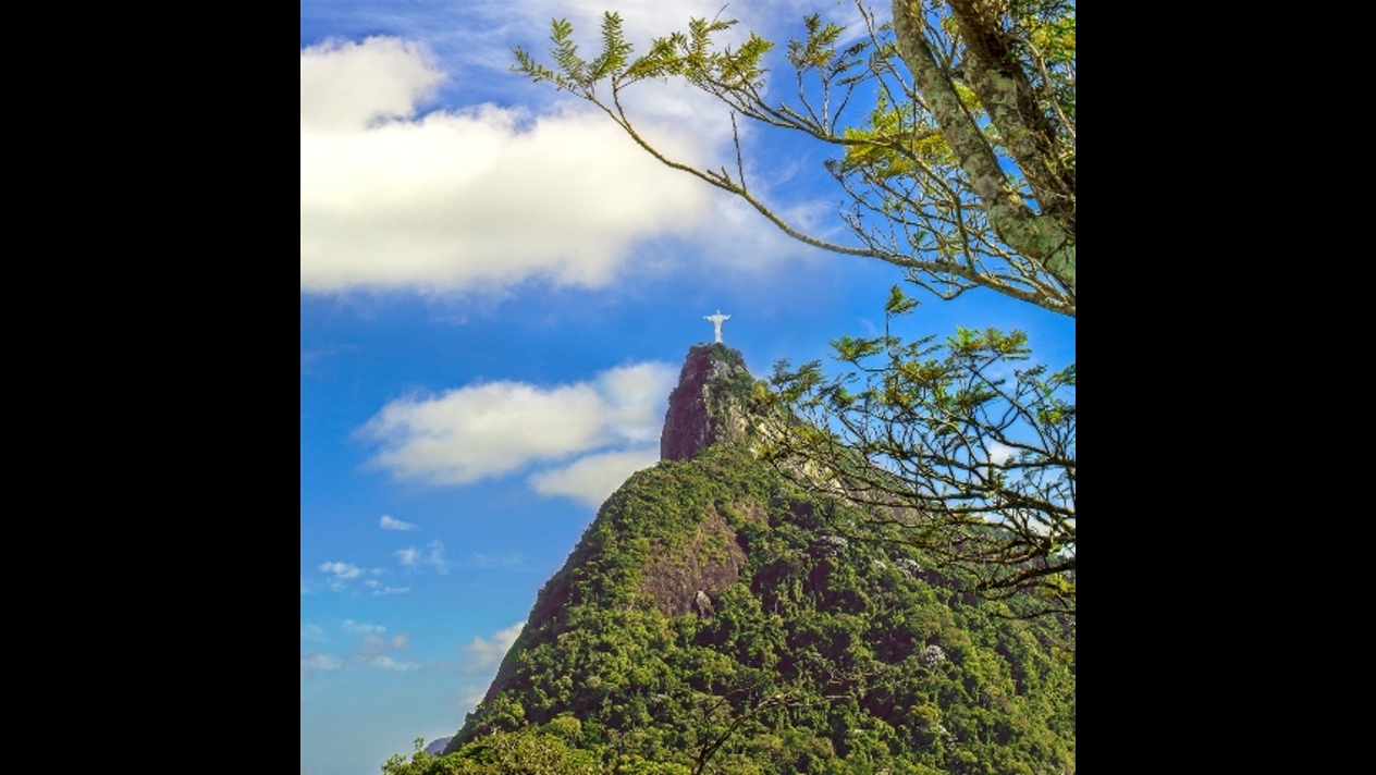 Carlos Henrique Brasil   @chbrasil (2b)